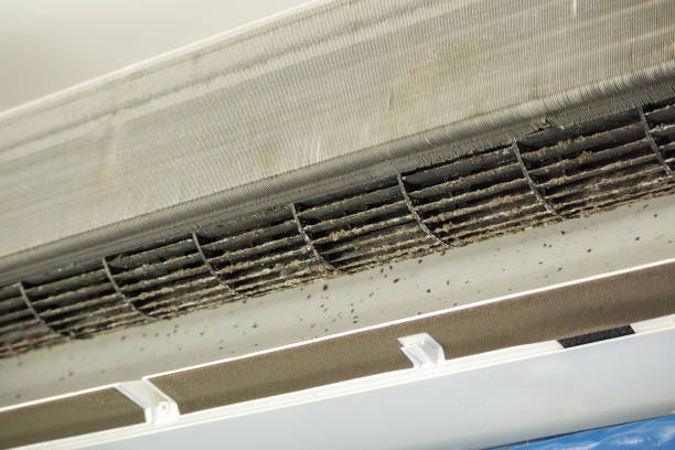 Best Emergency Air Duct Cleaning  in San Juan, TX
